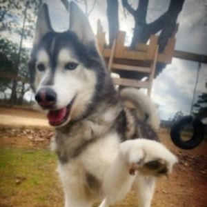 Meet your Posher, Philippe